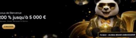 Bingo And Casino App spellen