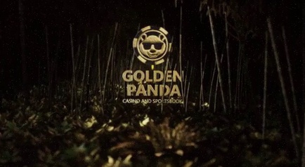 App Beste Online Casino Buitenland