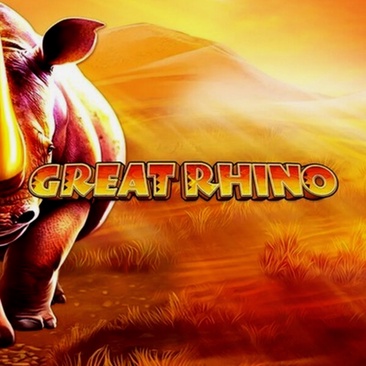 Bonussen en promoties