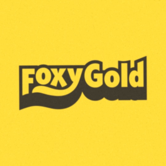 Hollandcasino Nijmegen app