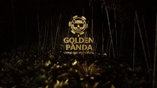 Online Casino NL inloggen