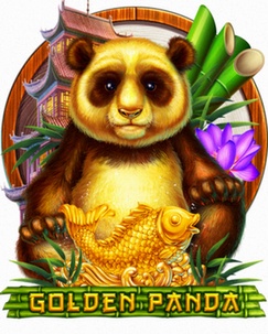 RTP Casino registratie en inloggen